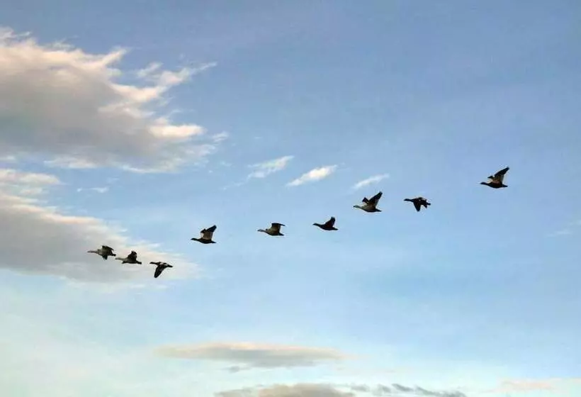 هتل Bories   Boutique Guest House