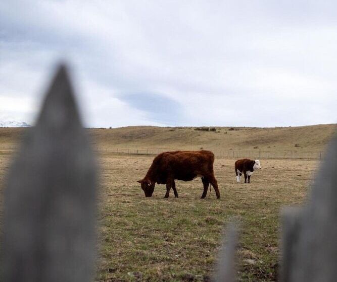 فندق Bories Boutique Guest House