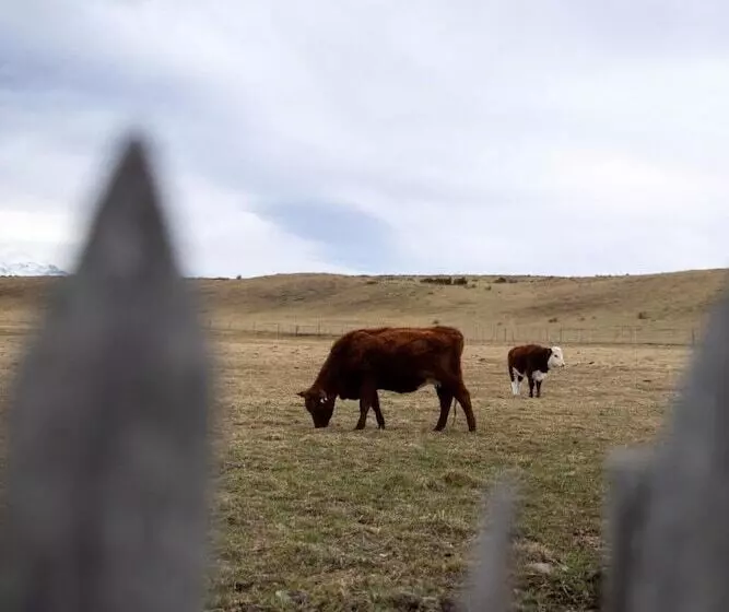 هتل Bories   Boutique Guest House