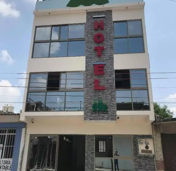 هتل Los Pinos Centro