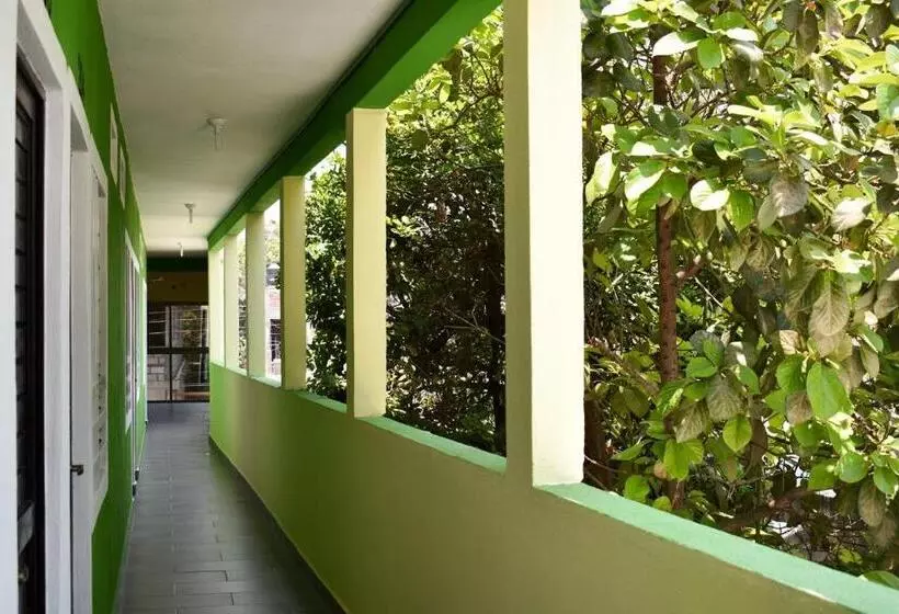 هتل Los Pinos Centro
