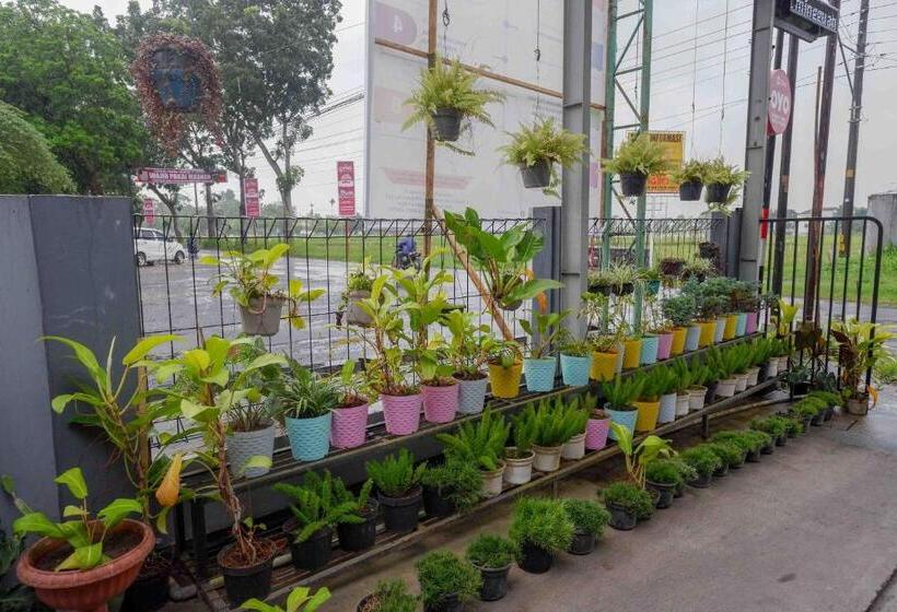 פנסיון Reddoorz Near Rsud Margono Purwokerto 3