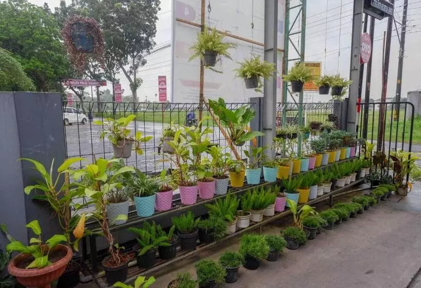 ペンション Reddoorz Near Rsud Margono Purwokerto 3