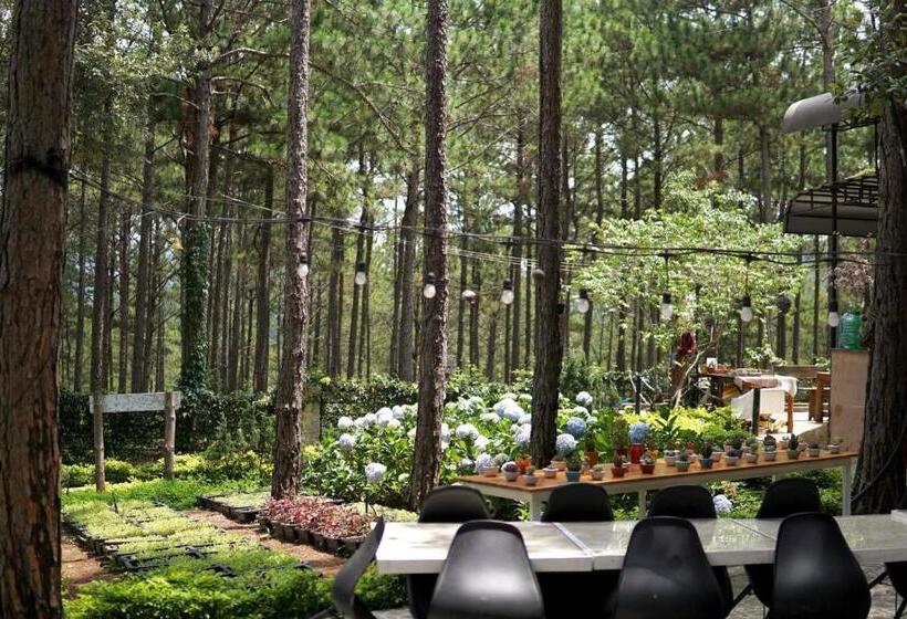 هتل Romeo & Juliet S Hồ Tuyền Lâm Dalat