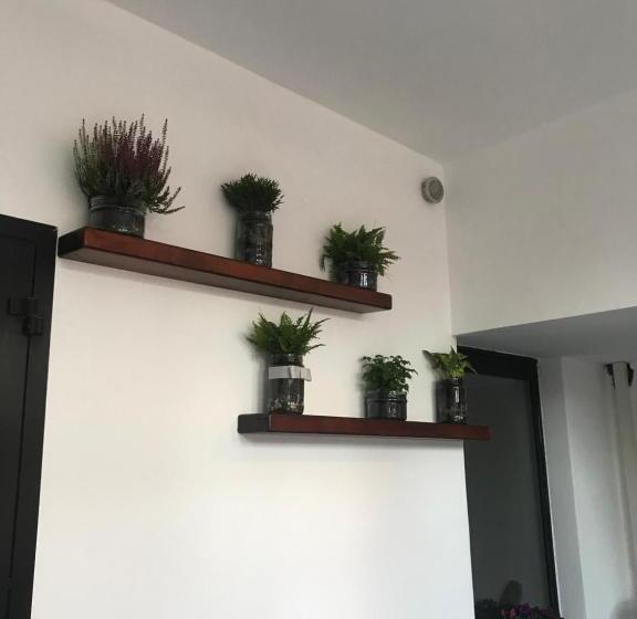 Bed and Breakfast A Casa Di Titty