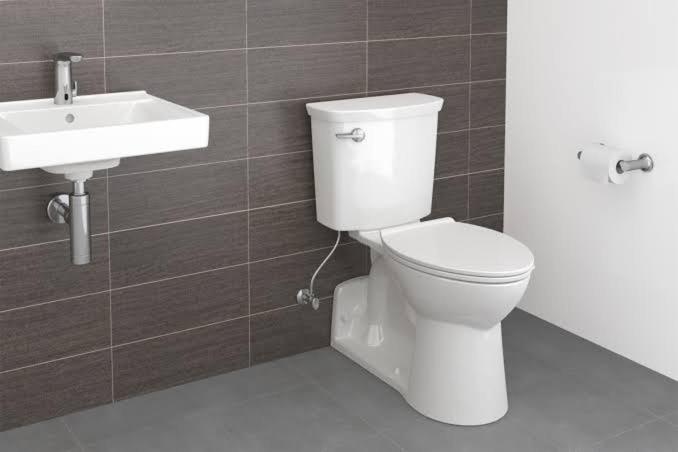 فندق Rajanigandha Home Stay