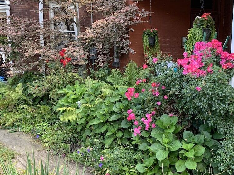 Bed and Breakfast The Shepherd's Inn