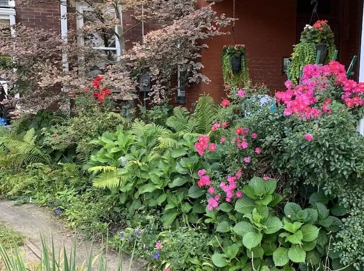 Aamiaismajoitus (B&B) The Shepherd's Inn