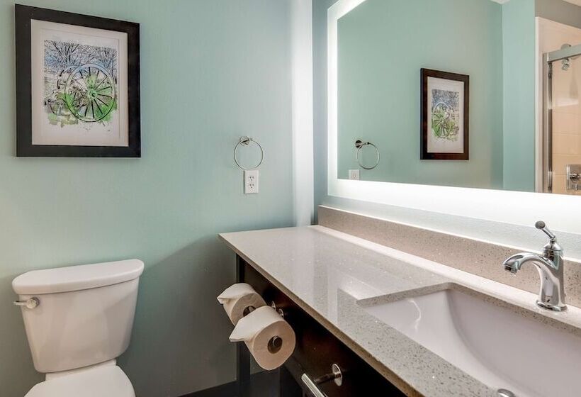 فندق Best Western Plus Executive Residency Marion