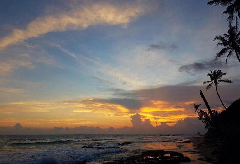 Pensiune Jungle Vibes