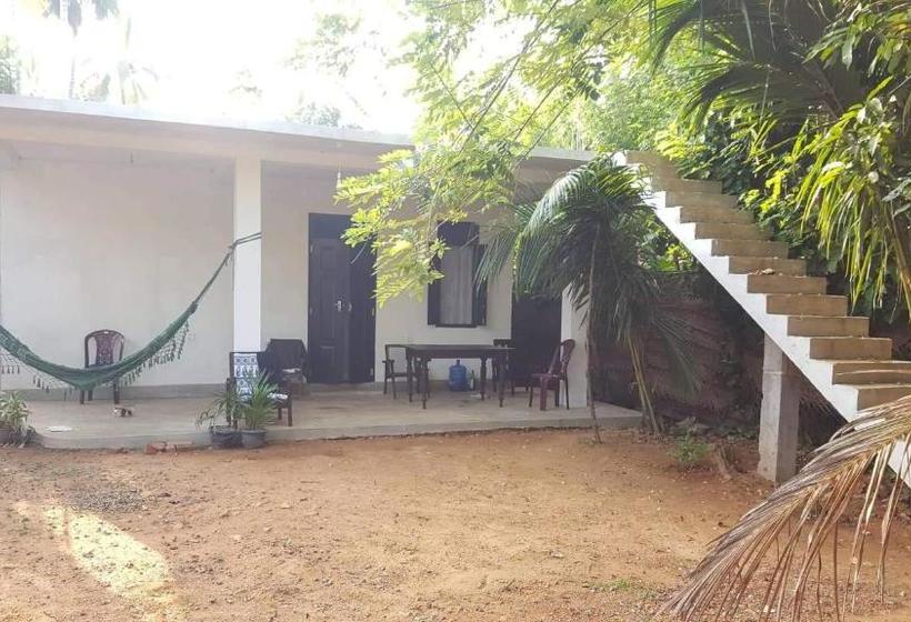 Pensiune Jungle Vibes