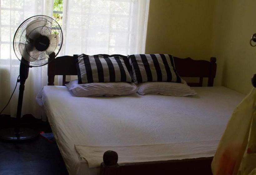 Pensiune Jungle Vibes