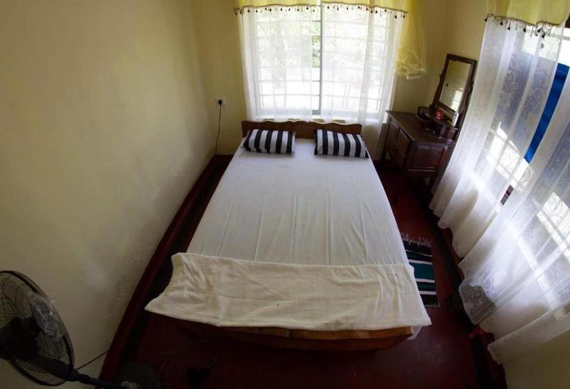 Pensiune Jungle Vibes