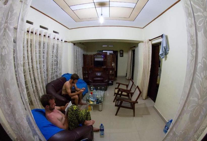 Pensiune Jungle Vibes