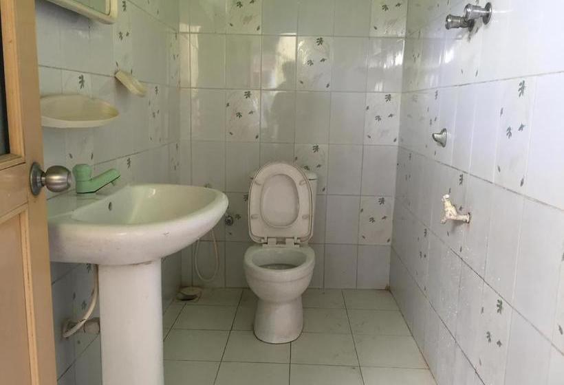 Pensiune Jungle Vibes