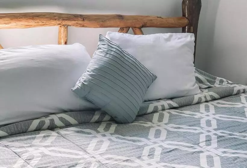 پانسیون El Gato Rojas Surf Hostel