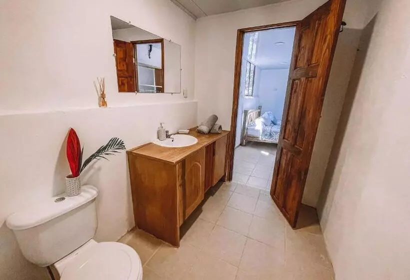 پانسیون El Gato Rojas Surf Hostel