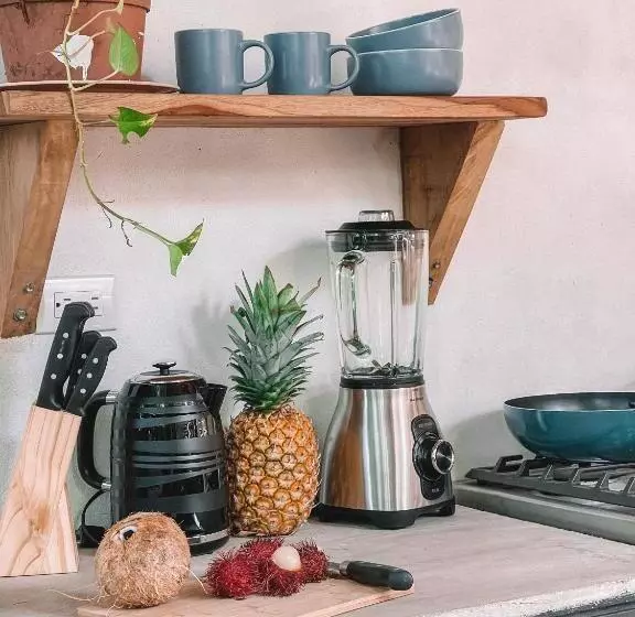 پانسیون El Gato Rojas Surf Hostel