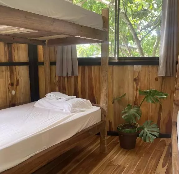 پانسیون El Gato Rojas Surf Hostel