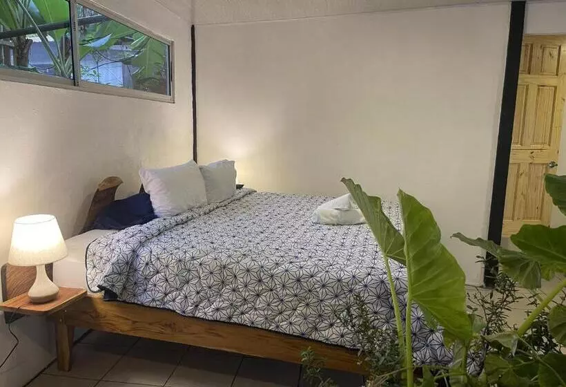 پانسیون El Gato Rojas Surf Hostel
