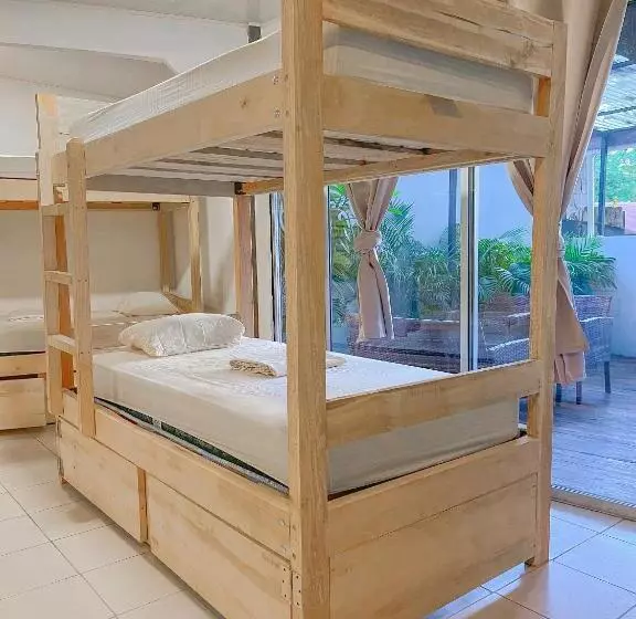 پانسیون El Gato Rojas Surf Hostel