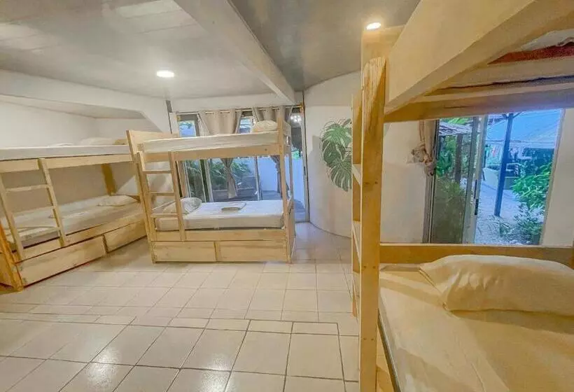 پانسیون El Gato Rojas Surf Hostel