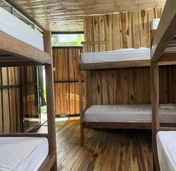 پانسیون El Gato Rojas Surf Hostel