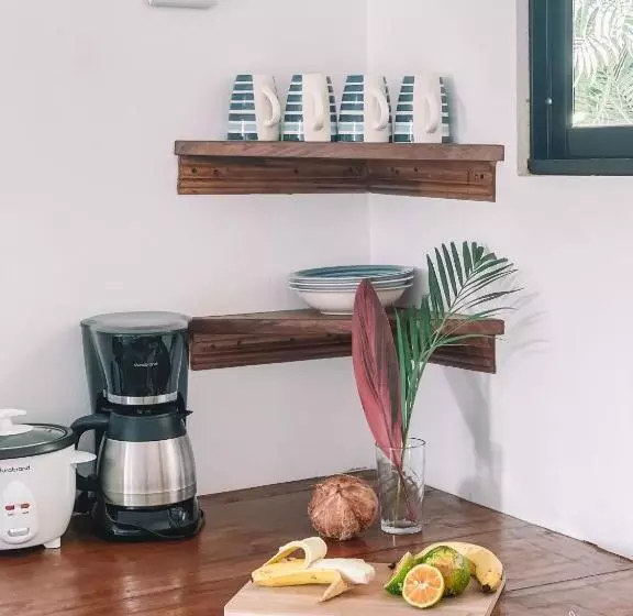 پانسیون El Gato Rojas Surf Hostel