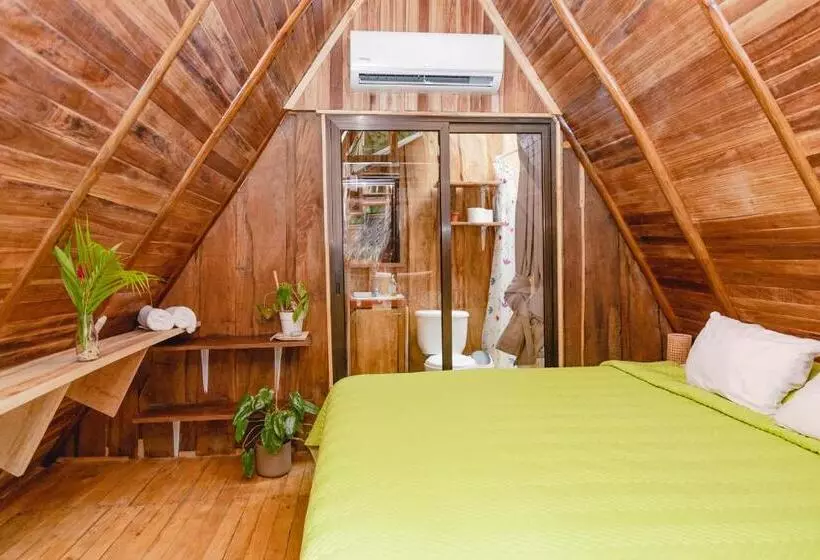 پانسیون El Gato Rojas Surf Hostel