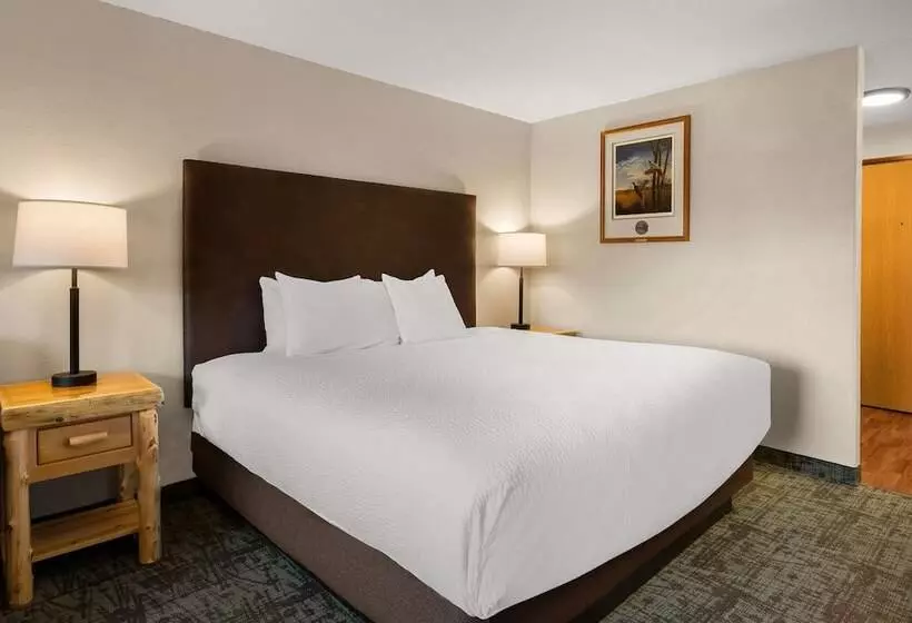 בית מלון כפרי Best Western Northwoods Lodge