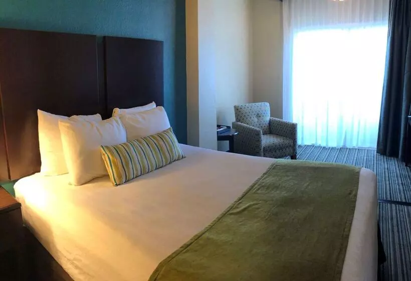 فندق Palm Tree Club Miami