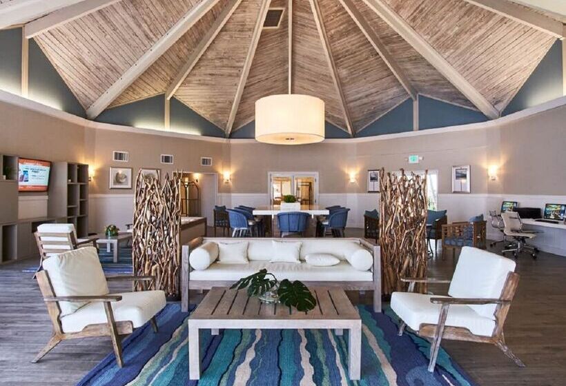 בית מלון כפרי Palm Tree Club Miami