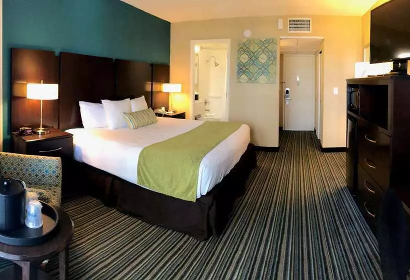 فندق Palm Tree Club Miami