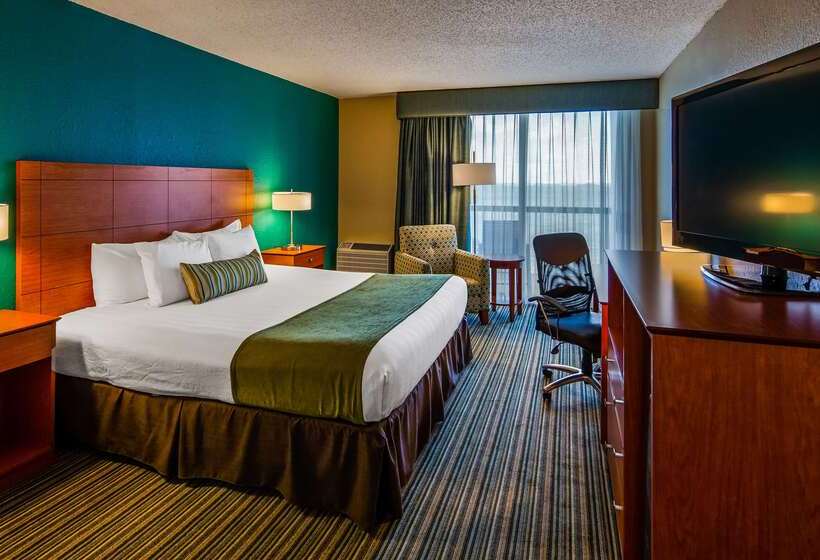 בית מלון כפרי Palm Tree Club Miami