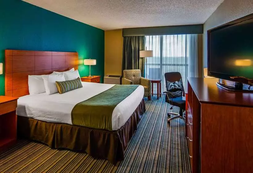 فندق Palm Tree Club Miami