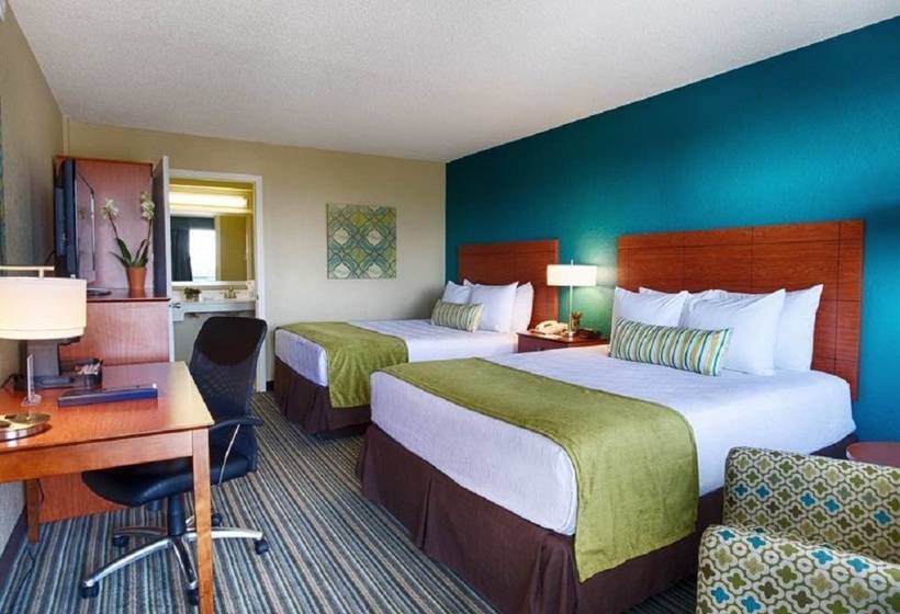 בית מלון כפרי Palm Tree Club Miami