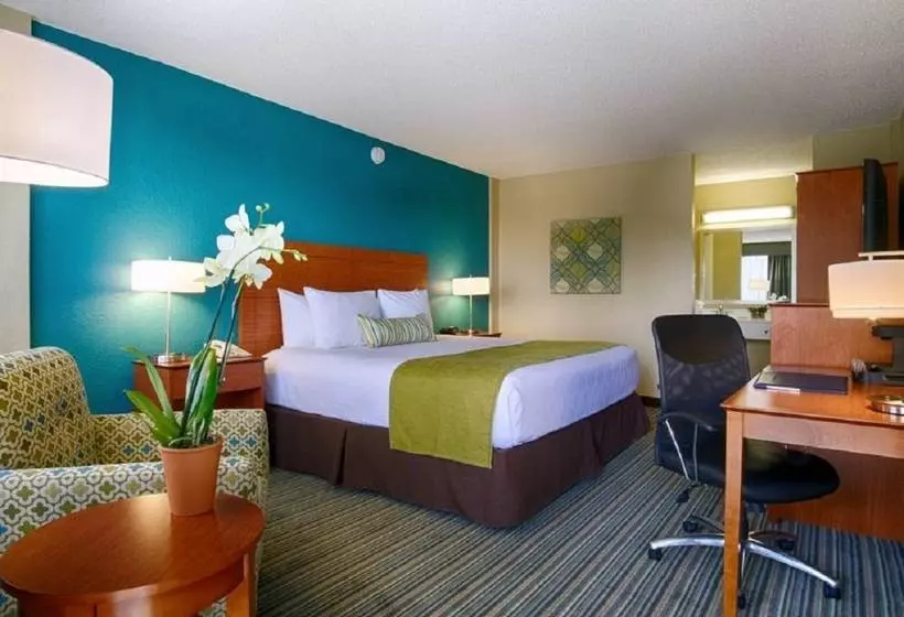 فندق Palm Tree Club Miami