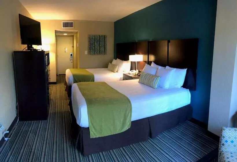 فندق Palm Tree Club Miami