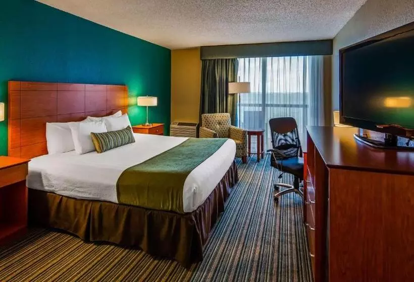 فندق Palm Tree Club Miami