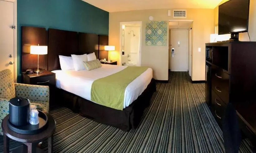 فندق Palm Tree Club Miami