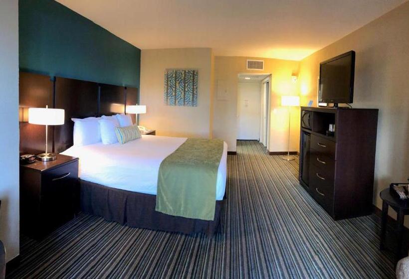 בית מלון כפרי Palm Tree Club Miami