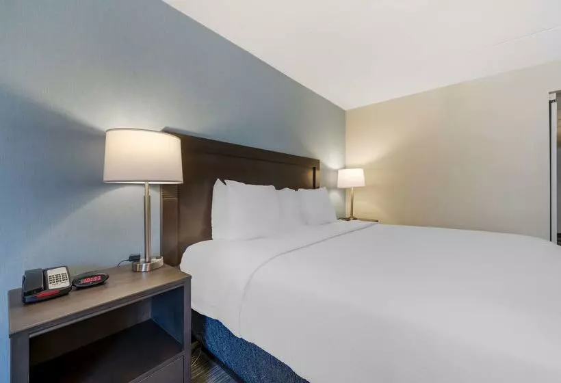 Отель Best Western Plus Alexandria Fort Belvoir