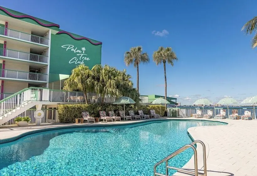 ホテル Palm Tree Club Miami