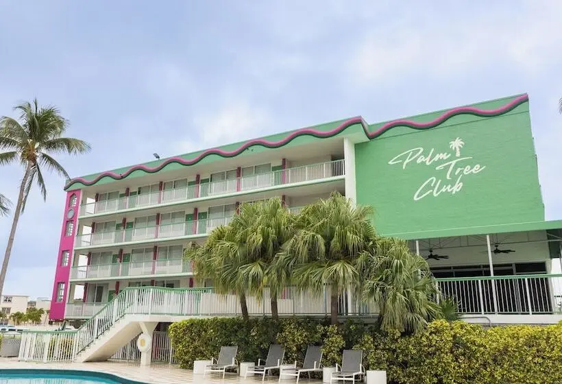 ホテル Palm Tree Club Miami