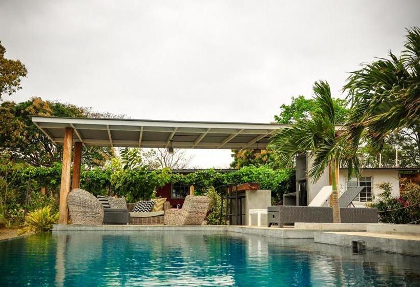 住宿加早餐  La Maracuya Panama