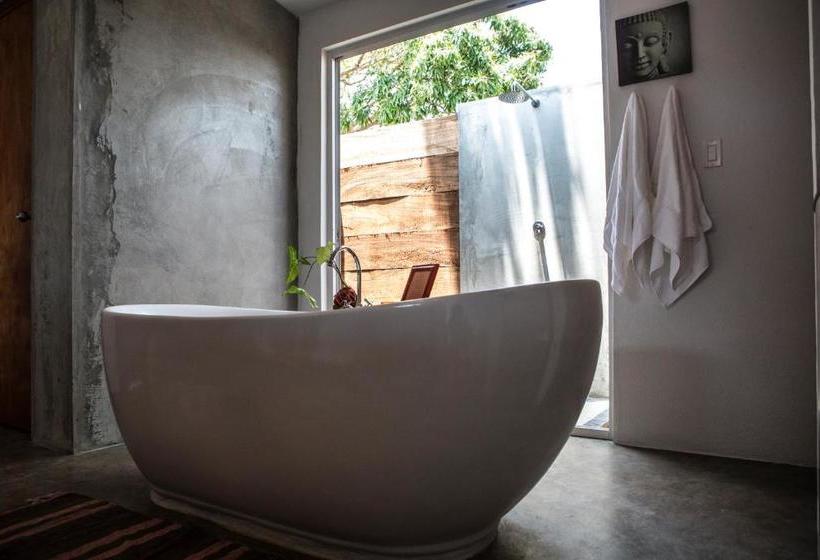 住宿加早餐  La Maracuya Panama