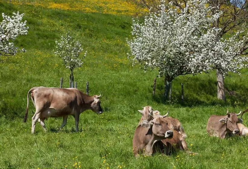 Majatalo Gasthof Rössle