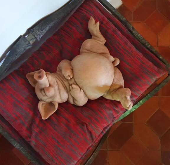 호텔 Casa Palaciega El Cuartel