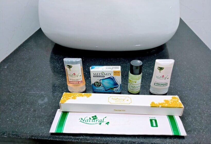 Отель Sri Ram Grand