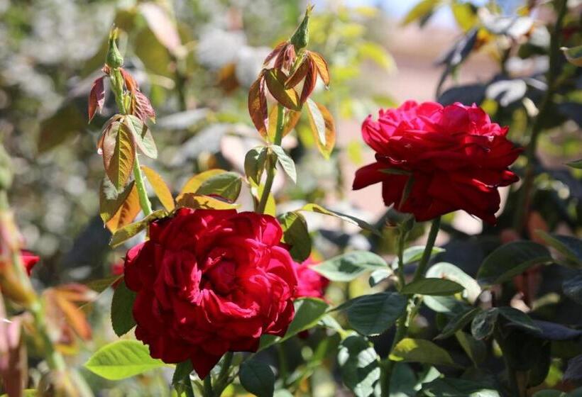 بنسيون Guest House Khiva Boyjon Ota